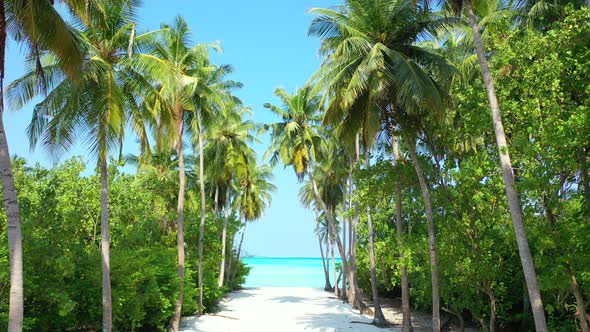 Tropical aerial copy space shot of a summer white paradise sand beach and blue sea background in col