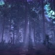 Spooky forest - VideoHive Item for Sale