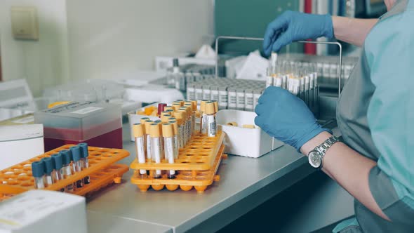 The Laboratory Assistant Prepares Blood Tubes for Microbiological Analysis for Antibodies to