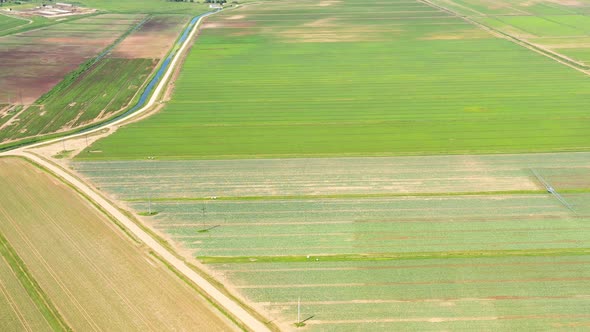 Agricultural Land with Green Crops From Above