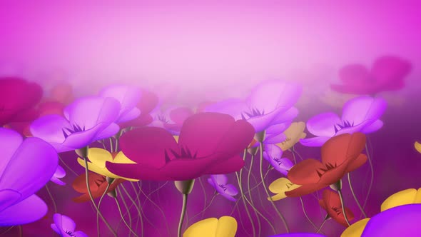 Peaceful Big Flowers Background