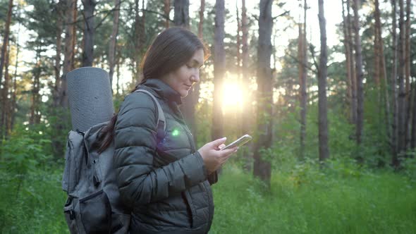 Brunette Woman with a Backpack Stands Among the Pines and Looks at the Phone