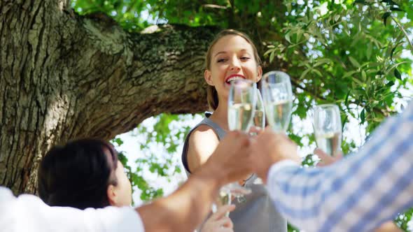 Group of friends toasting champagne glasses while having lunch