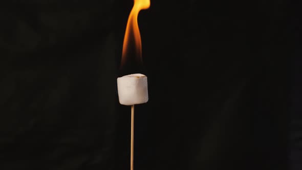 Closeup of a Burning Marshmallow on a Stick Shot on a Black Background