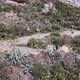 Drone View of a Steep Path Along Mount Lycabettus with Tourists in Athens - VideoHive Item for Sale