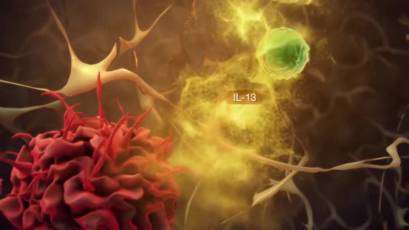 Innate Lymphoid Cells in Mucosal Immunity