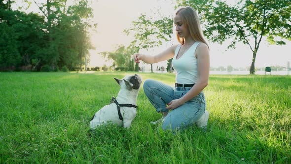 Young Female Dog Owner Training French Bulldog Outdoors.