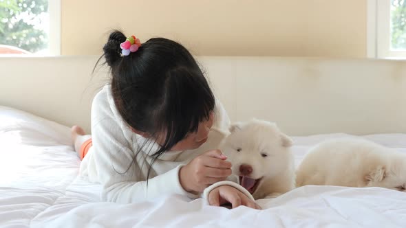 Cute Asian Girl Playing Siberian Husky Puppy On White Bed