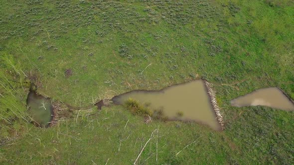Aerial view panning over beaver ponds in green landscape