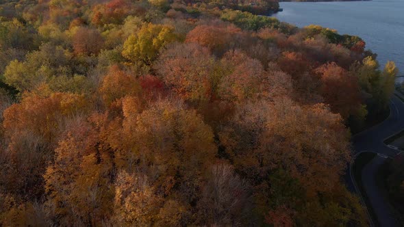 Orange leaves during fall in North America, beautiful autumn colors red, orange, yellow