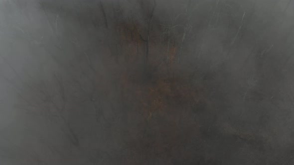 Aerial Of Scary Fog Forest With Wind alt