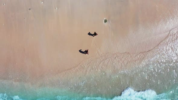 Tourists look beautiful on beautiful lagoon beach wildlife by transparent water with white sandy bac