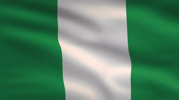 Nigeria Windy Flag Background 4 K