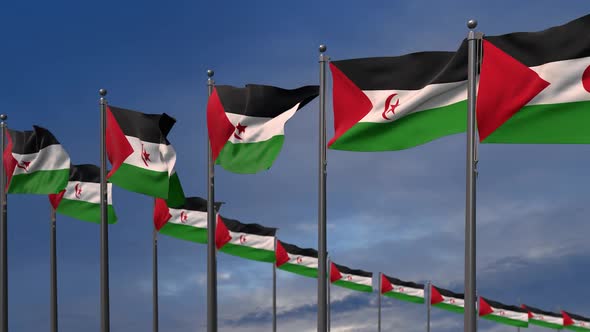 The Western Sahara Flags Waving In The Wind  2K