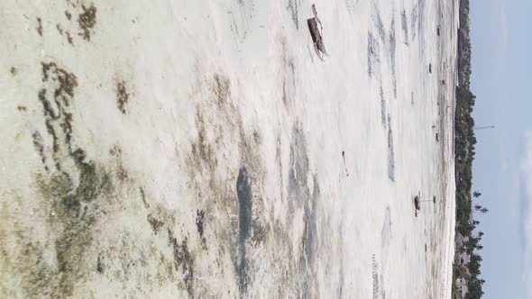 Zanzibar Tanzania  Vertical Video of Low Tide in the Ocean Near the Coast Slow Motion