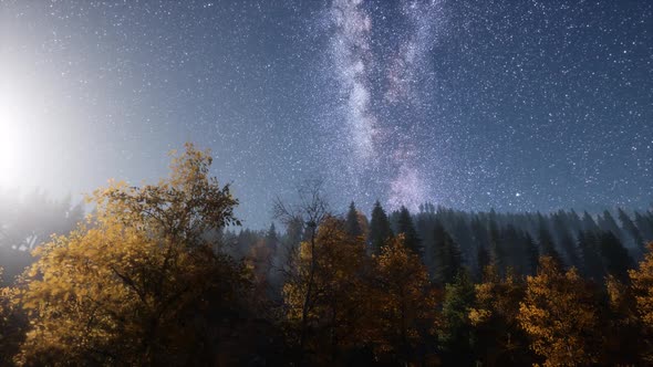 Milky Way Stars with Moonlight