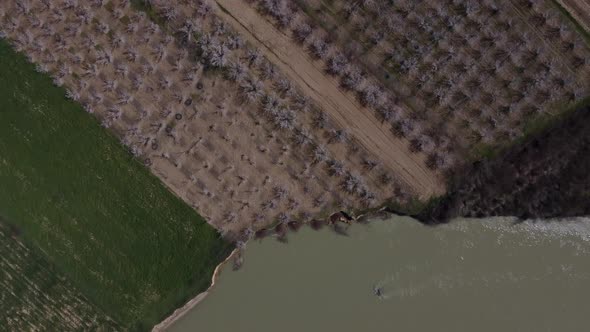 Drone View of Orchard and Farmland By Flowing Riverside