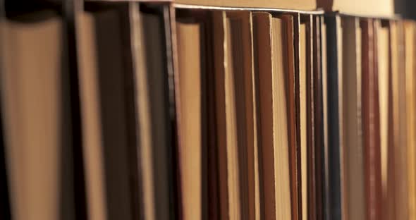 Many Books Organized in Shelves in a Big Bookstore