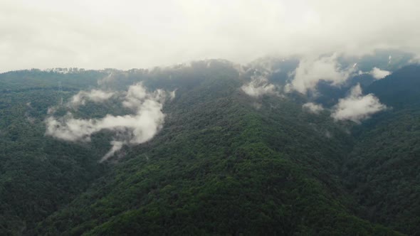 Flying Over an Amazing Rain Forest, Aerial View Above Rain Forest with Fog at Sunrise. Aerial Video