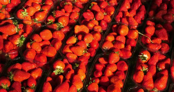 Strawberries for sale in an outdoor food market. Southern france.