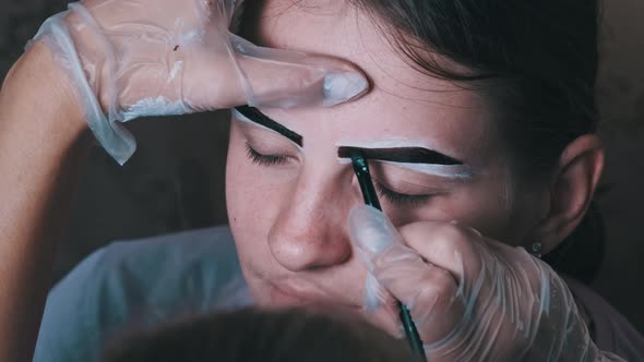 Eyebrow Tinting Procedure in Beauty Salon Master Corrects Brow Shape to Woman