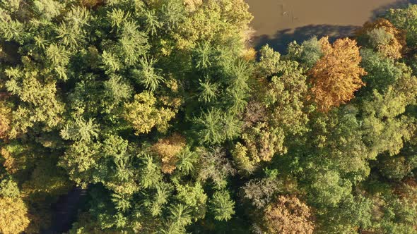 Aerial View Over Alpine Forest Durring Sunset in Autumn