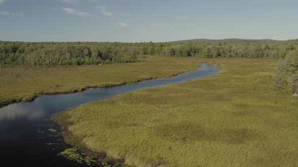 Landscape aerial Union River meandering through forest into distance