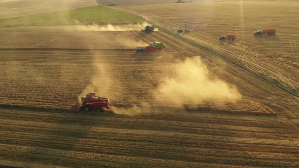 Running Harvesters At Sunset 