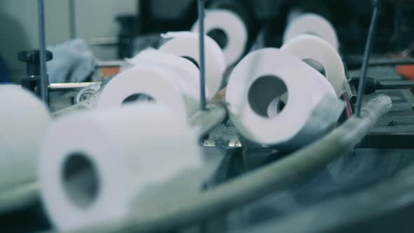 Close Up Shot of Toilet Paper Production Line