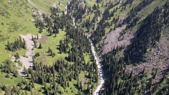A Mountain River Flows Through a Green Gorge