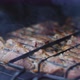 Grilling Chicken Meat - VideoHive Item for Sale