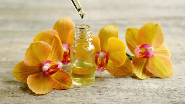 Orchid Essential Oil in a Small Bottle