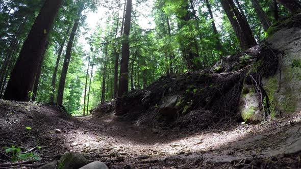 Woman riding unicycle in the forest 4k