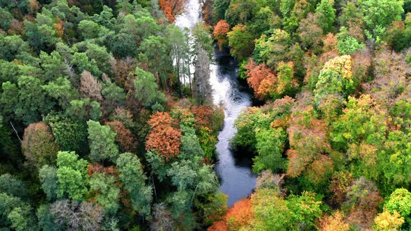 Aerial view of autumn forest and river, Poland