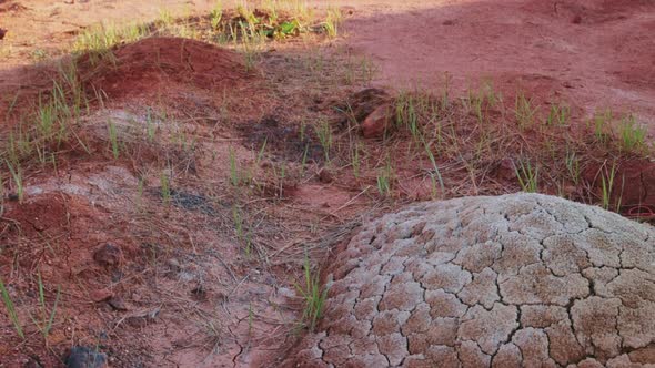 Dried and cracked clay soil surface