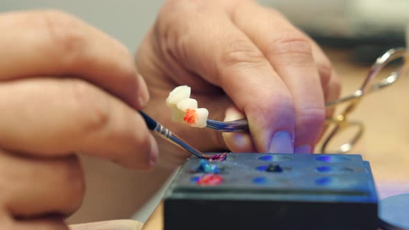 Crop dentist painting dental bridge with ceramics