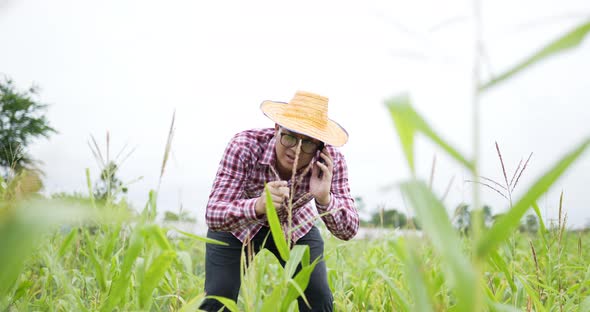 Farmer phone checking