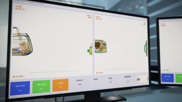 Monitoring Passenger Baggage At Departures Hall In Airport To Provide Security alt