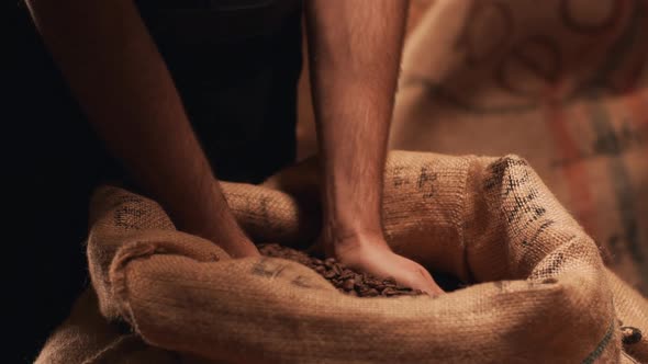 Closeup View in Slow Motion of Male Hands Grabbing Roasted Cooked Robusta or Arabica Coffee Beans