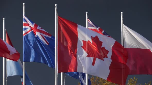 National flags waving in the wind