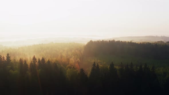 Aerial Drone Flying Over Hilly Forest in Misty Morning Clouds of Fog