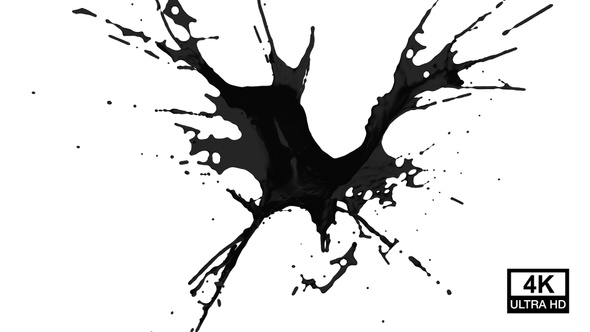 Black Paint Drops Splash