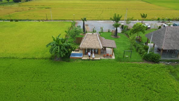 Couple Men and Women Visiting a Homestay Farm Between Green Rice Field Green Rice Paddy Field