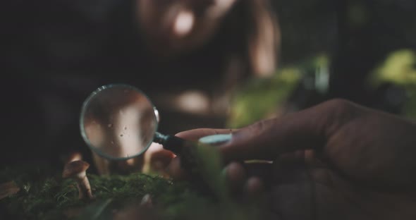 Close up of the mushroom and the two mushroom hunters studying and checking with the hand lens