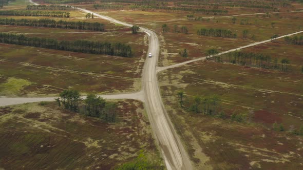Vehicle drives down countryside road through Blueberry fields Aerial tracking backward