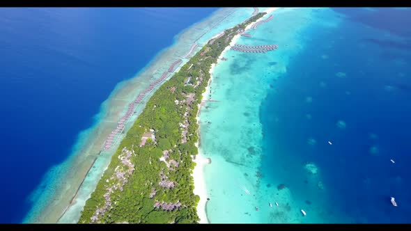 Aerial drone sky of luxury tourist beach wildlife by blue water with white sandy background of adven