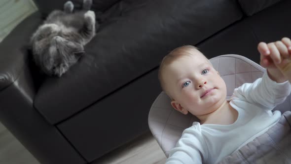 Baby and Cat Living Together Happily One Year Old Kid with Gray Cat at Home Baby Boy Sitting in Baby