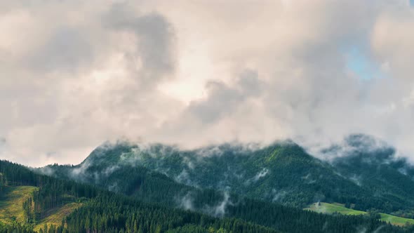 Mystic Clouds in Fresh Spring Forest Mountain after Rain Nature Landscape