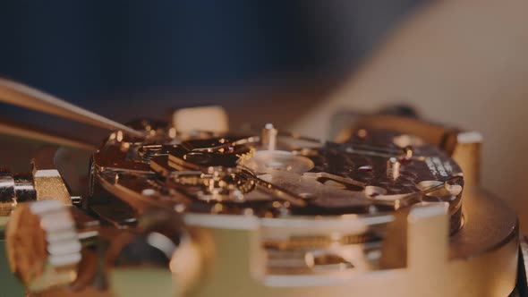 Watchmaker Assembling And Putting Back In Place The Piece And Mechanism Of Mechanical Watch By Tweez