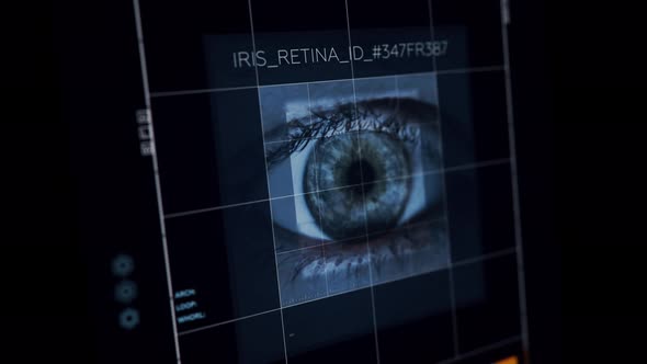 Searching the Identity by Biometric Data of Criminal. Access Granted. Technology / Videohive